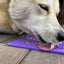 Bones Design eMat Enrichment Lick Mat - Your Pet Connection