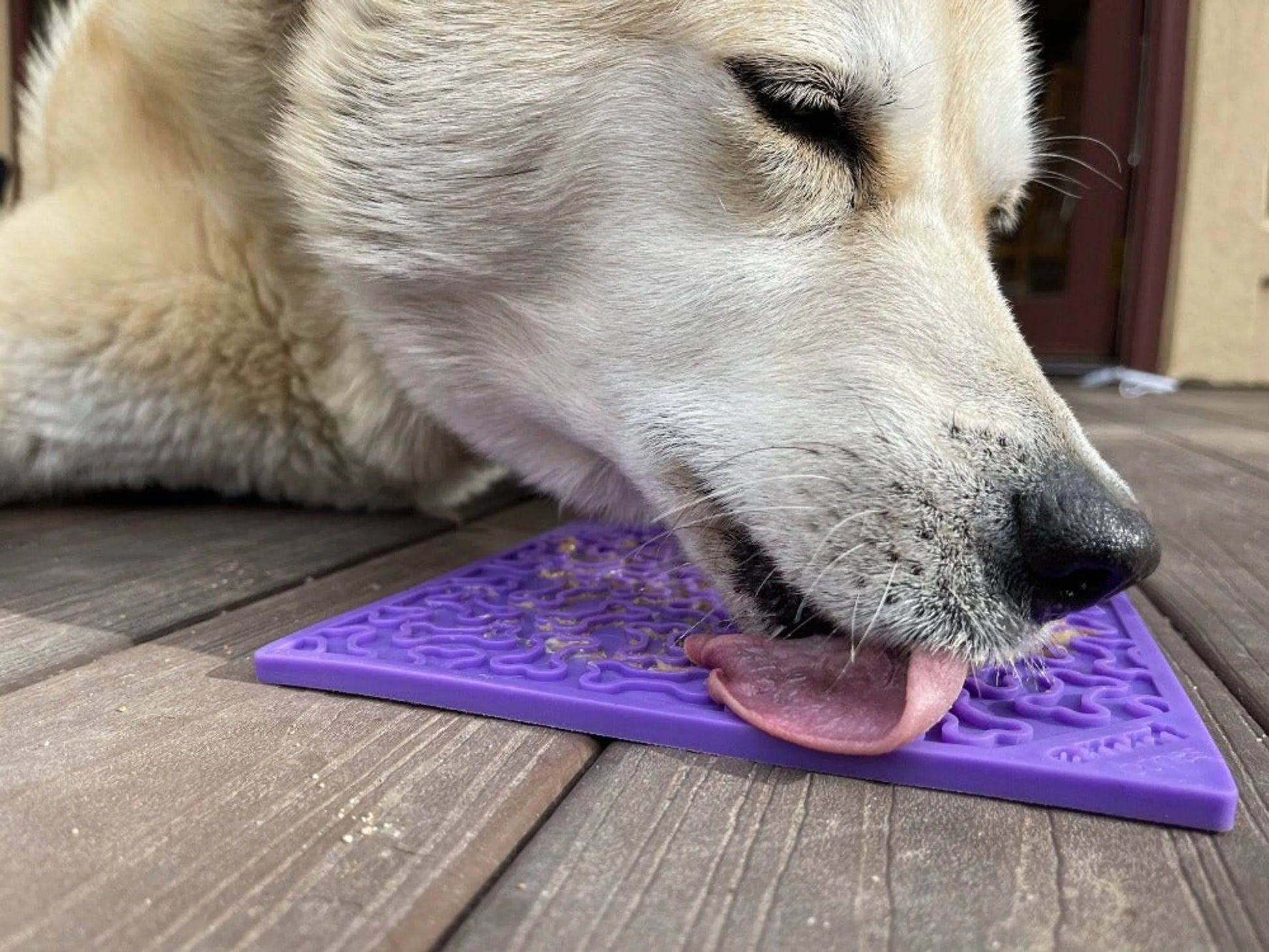 Bones Design eMat Enrichment Lick Mat - Your Pet Connection