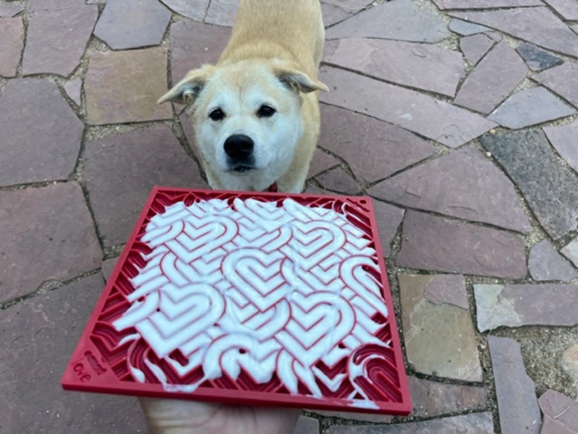 Heart Design "Love" eMat Enrichment Lick Mat - Your Pet Connection