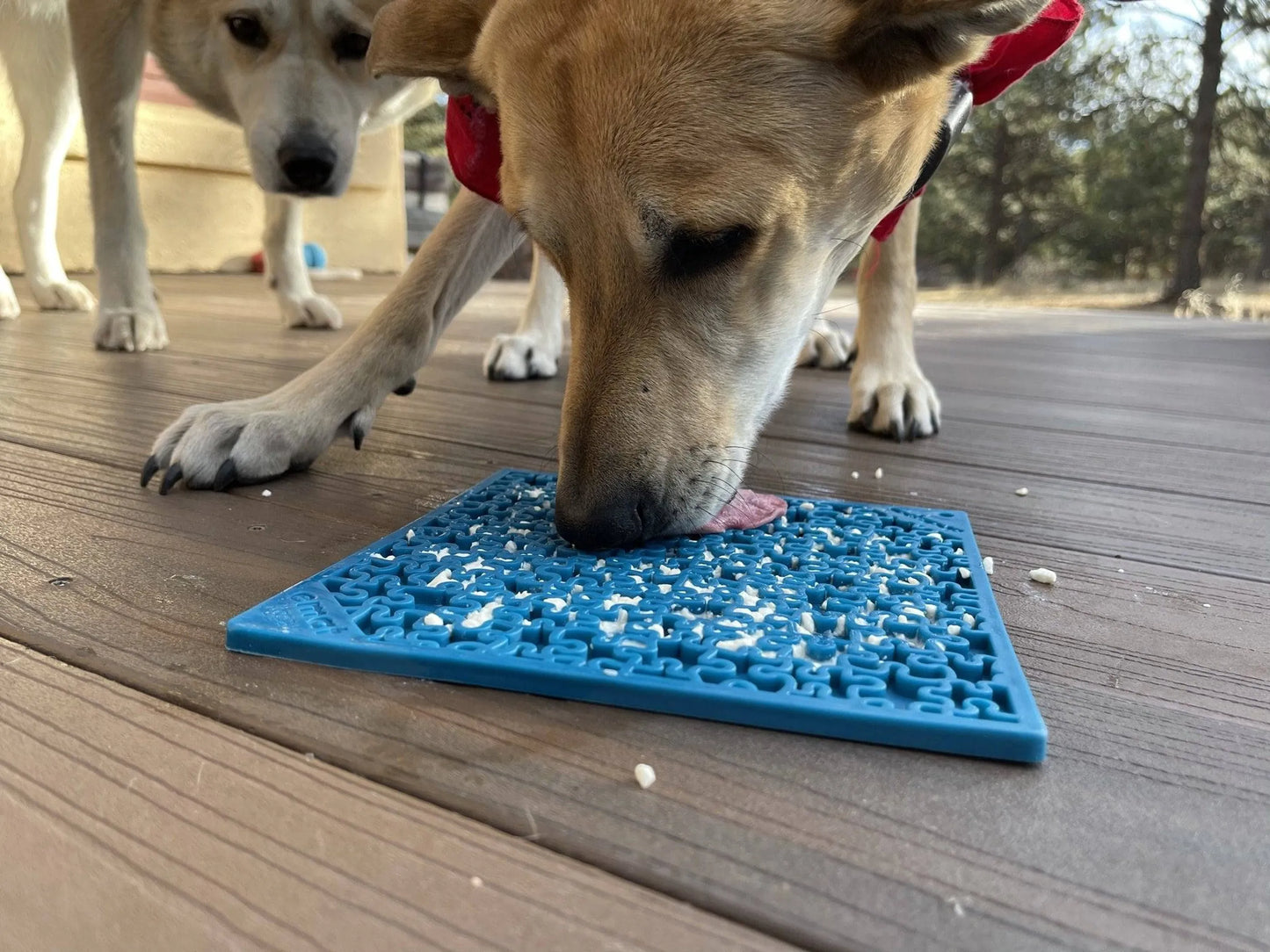 Jigsaw Design eMat Enrichment Lick Mat - Your Pet Connection