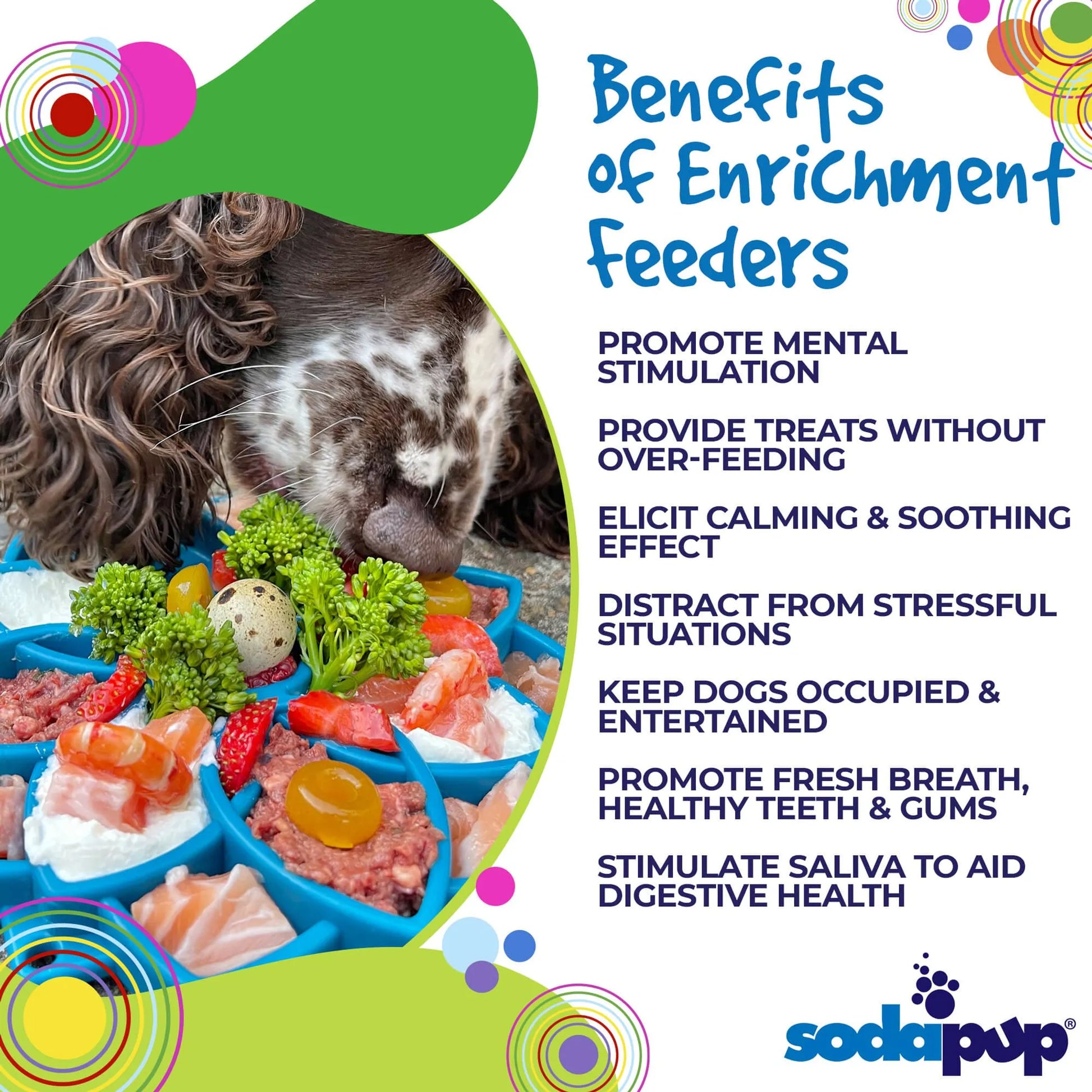 Mandala Design eTray Enrichment Tray for Dogs - Your Pet Connection