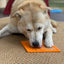 Zombie Design Emat Enrichment Lick Mat - Your Pet Connection