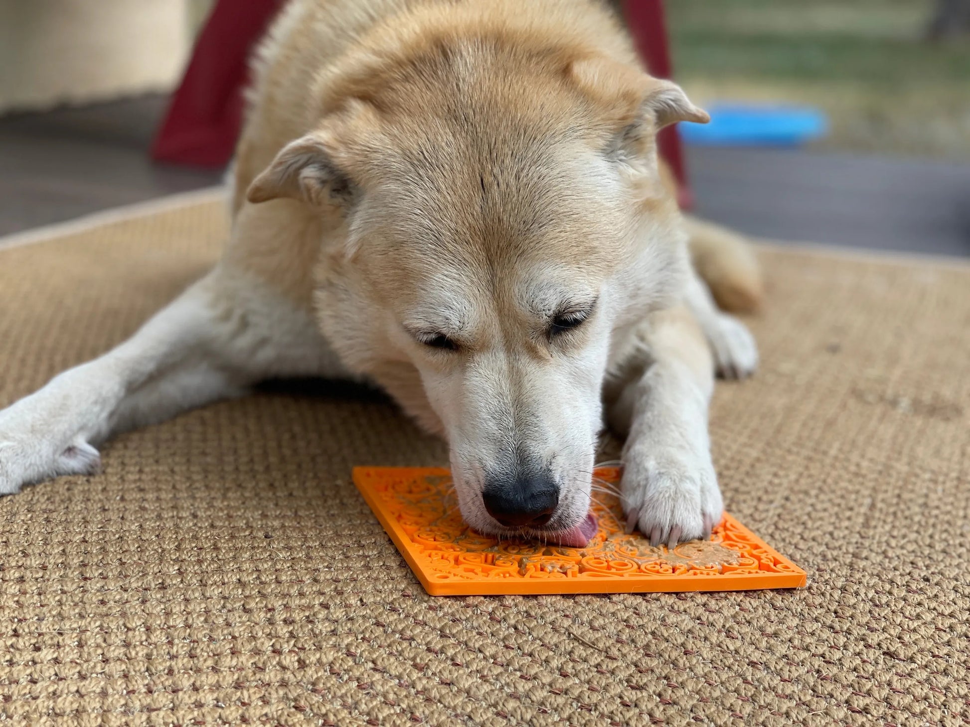 Zombie Design Emat Enrichment Lick Mat - Your Pet Connection