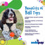 SP Smile Ball Ultra Durable Synthetic Rubber Chew Toy & Floating Retrieving Toy - Your Pet Connection