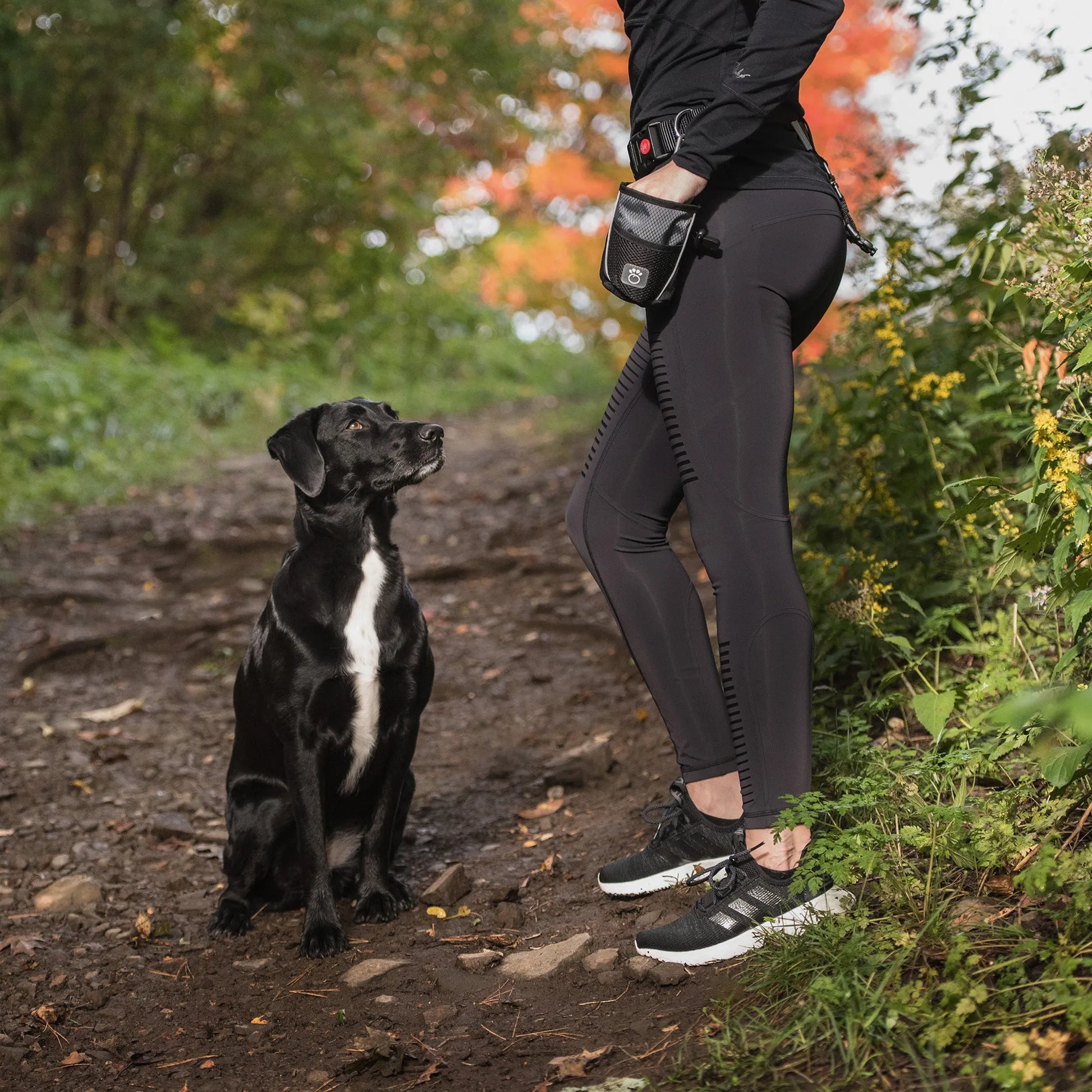 GF Pet  Treat Bag - Your Pet Connection