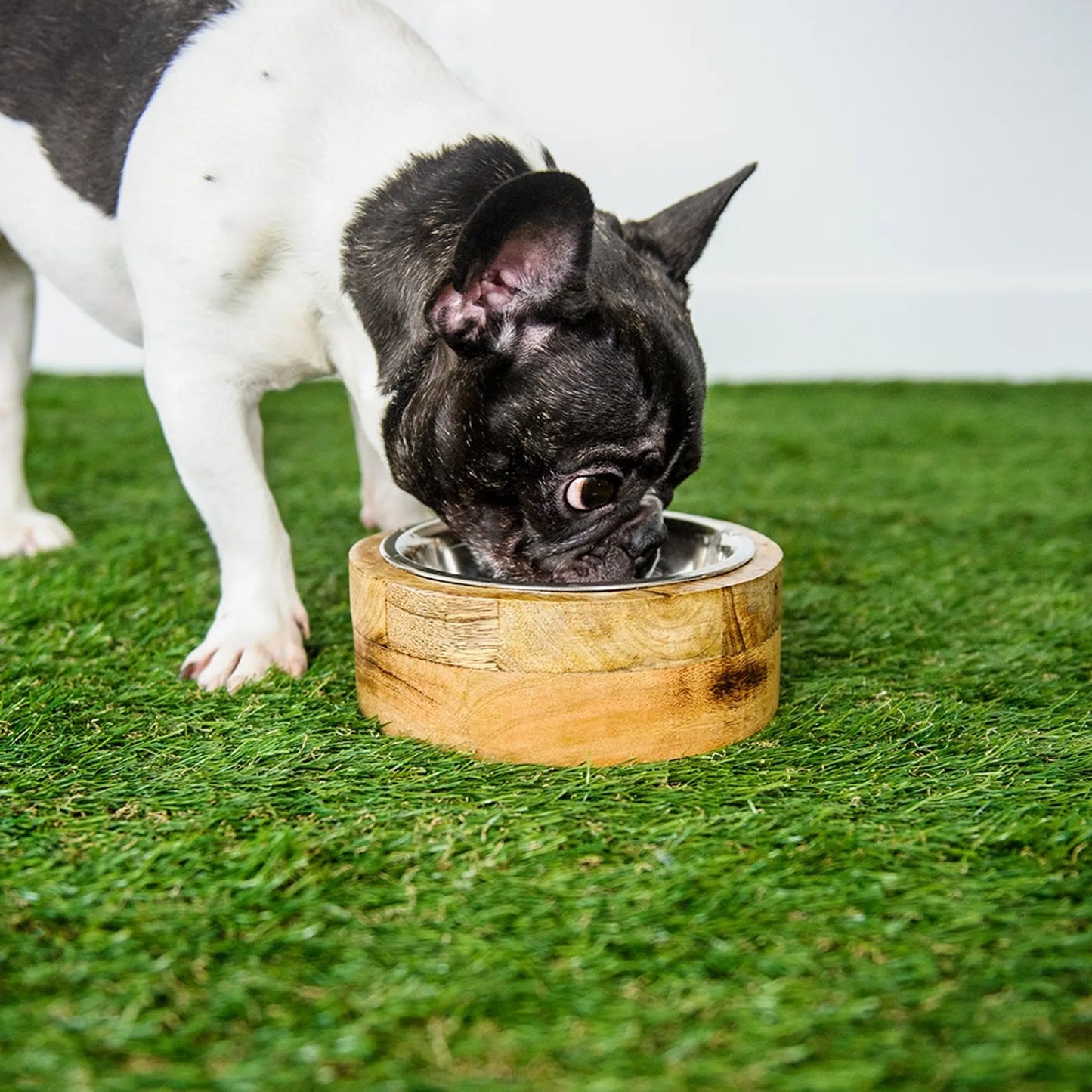 GF Pet Mango Wood Bowl Single - Your Pet Connection