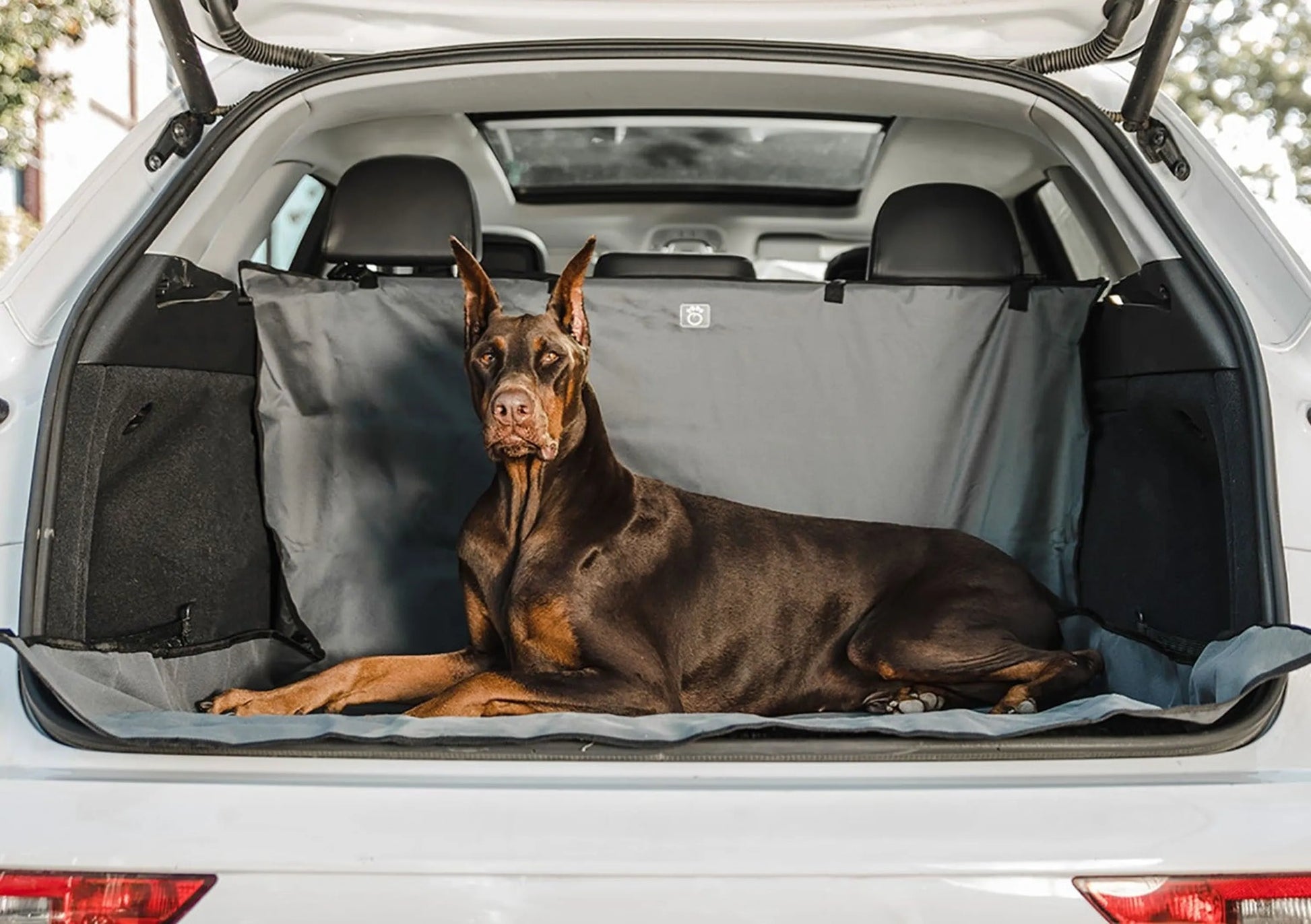 GF Pet  Pet Cargo Cover - Your Pet Connection