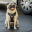 GF Pet  Travel Harness - Your Pet Connection