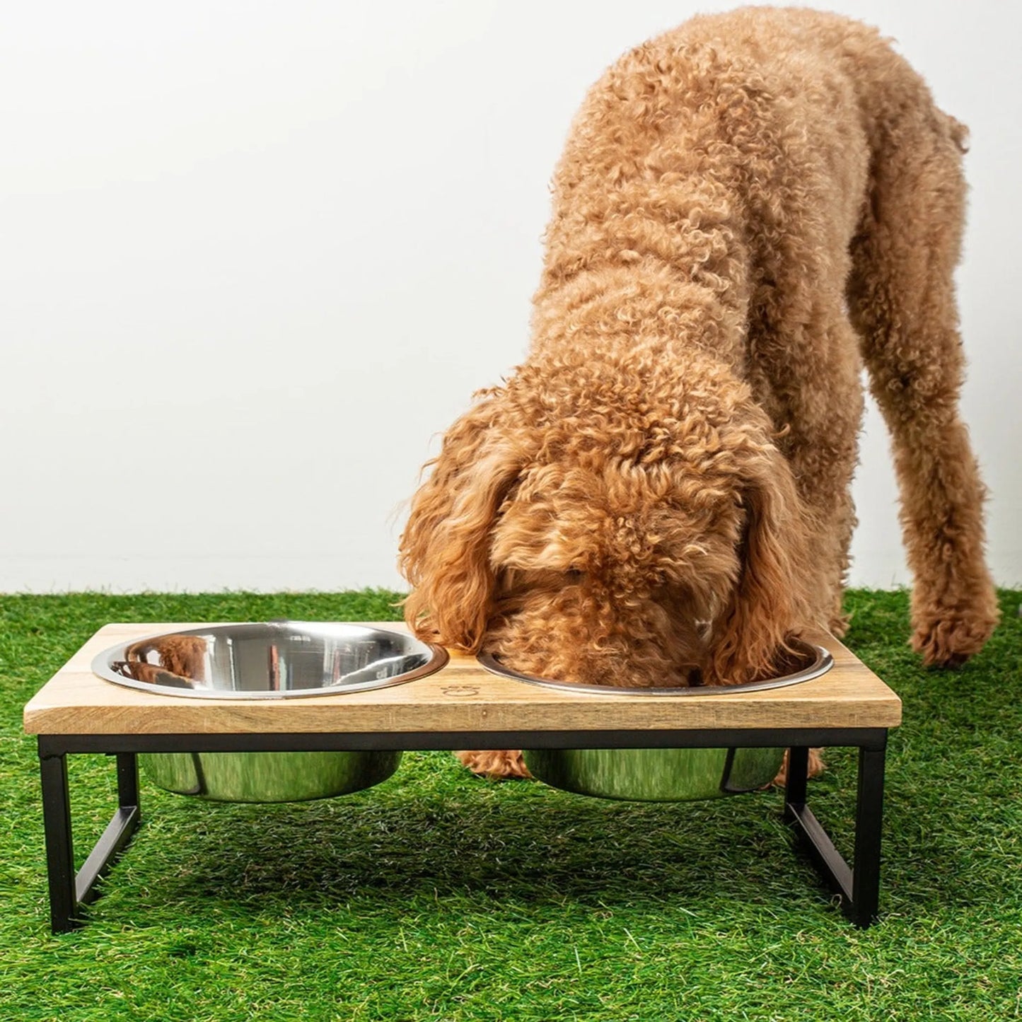 GF Pet Wood & Metal Elevated Feeder - Your Pet Connection