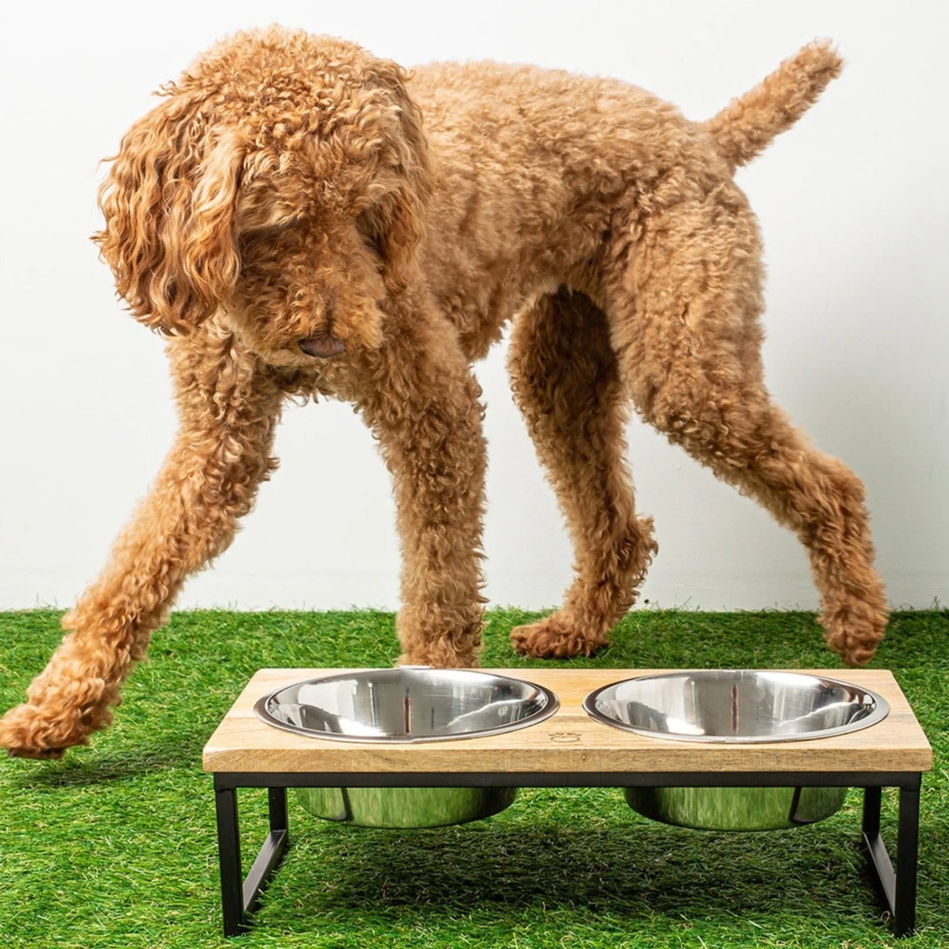 GF Pet Wood & Metal Elevated Feeder - Your Pet Connection