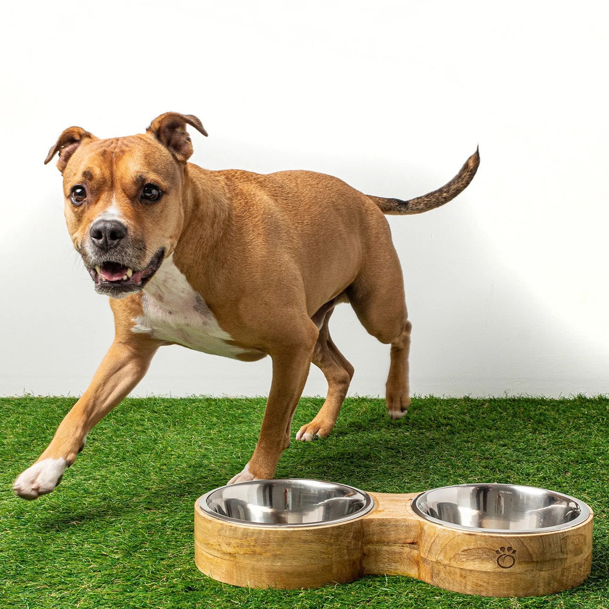 GF Pet Wood & Metal Feeder Double Diner - Your Pet Connection