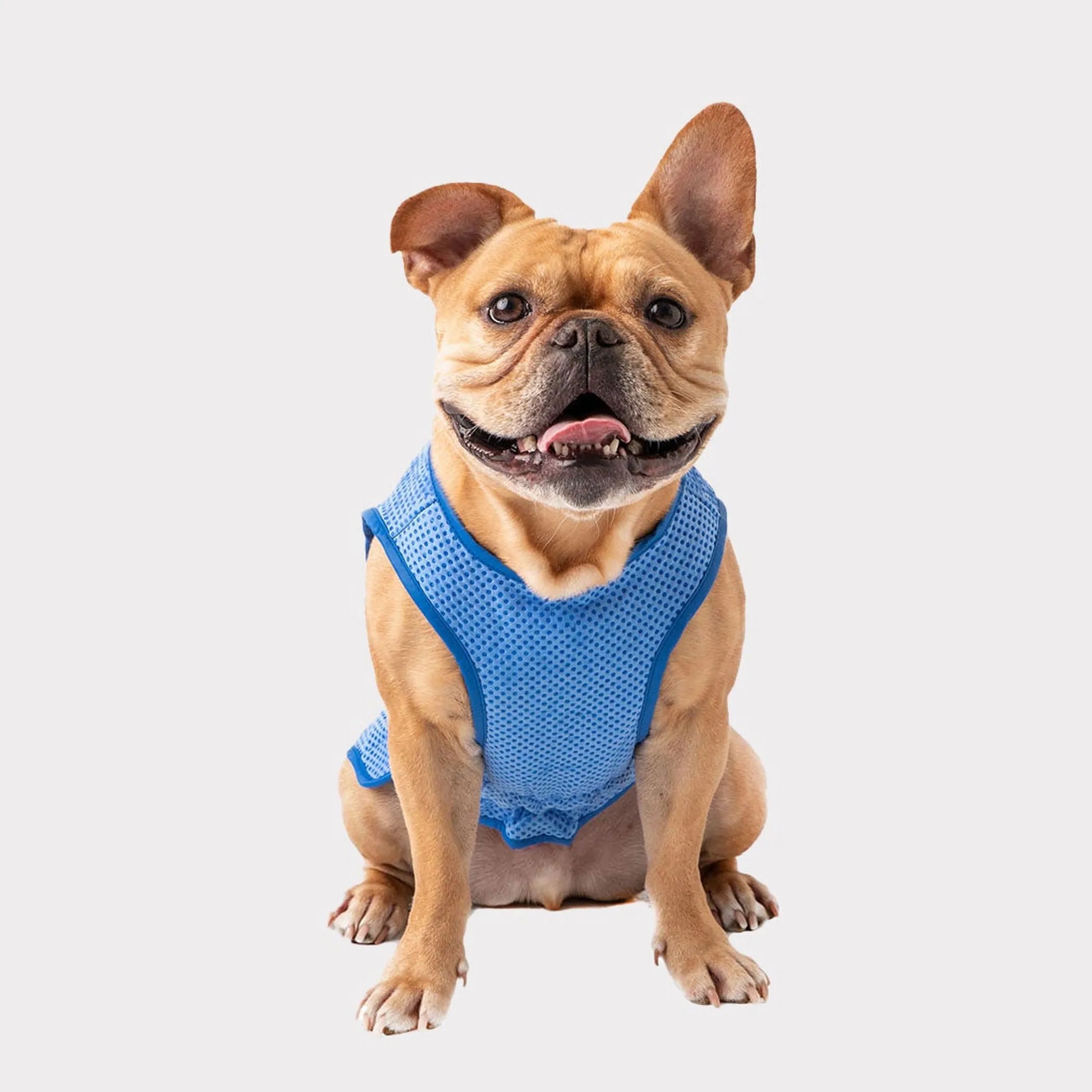 GF Pet ElastoFit Ice Vest - Your Pet Connection