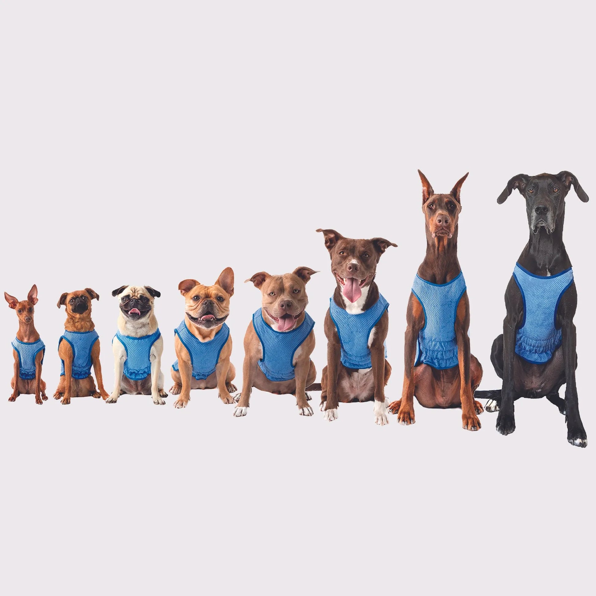 GF Pet ElastoFit Ice Vest - Your Pet Connection