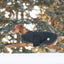 GF Pet Dog Blanket Jacket - Your Pet Connection
