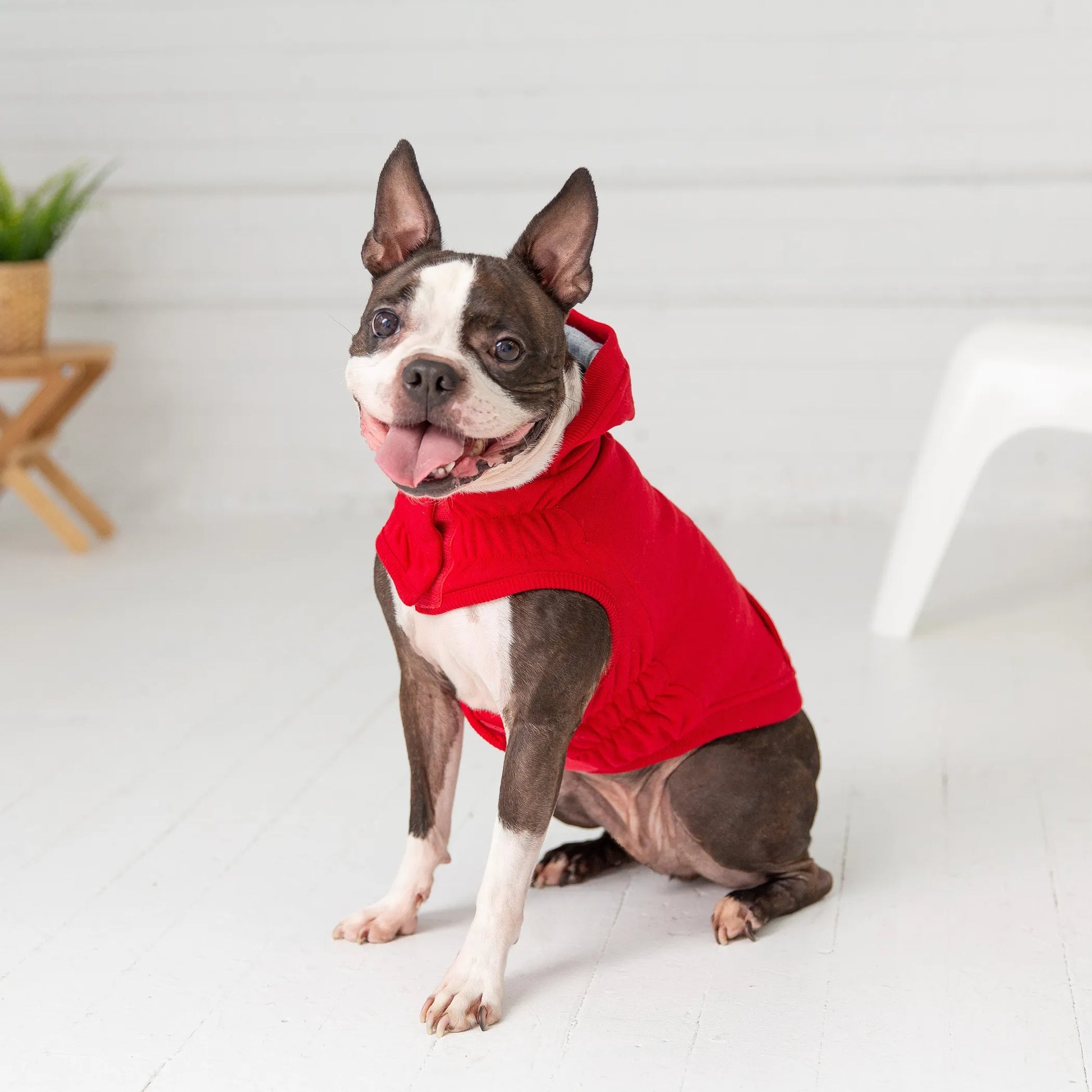 GF Pet Elasto-Fit Urban Dog Hoodie - Your Pet Connection