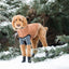 GF Pet ElastoFit Urban Dog Parka - Your Pet Connection