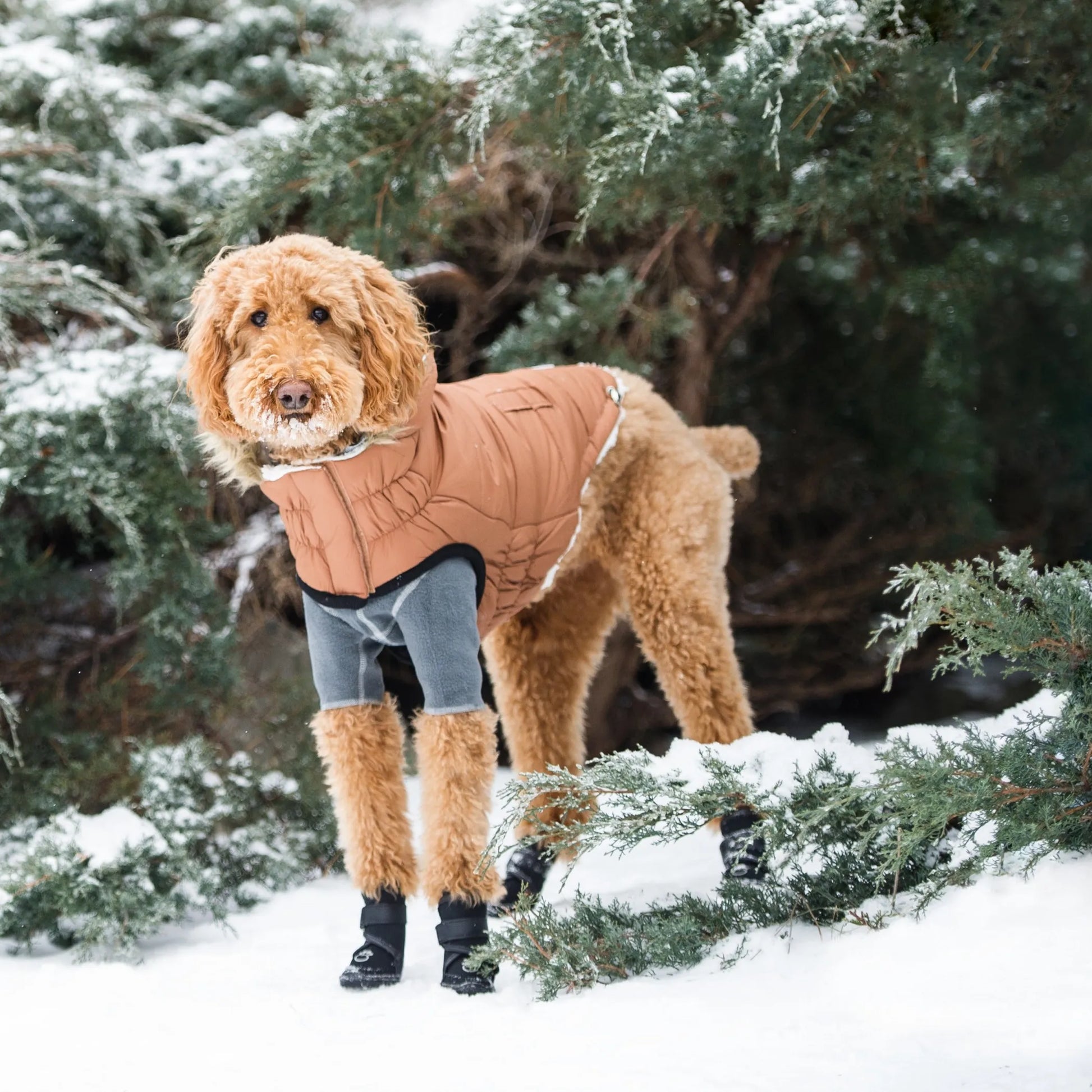 GF Pet ElastoFit Urban Dog Parka - Your Pet Connection