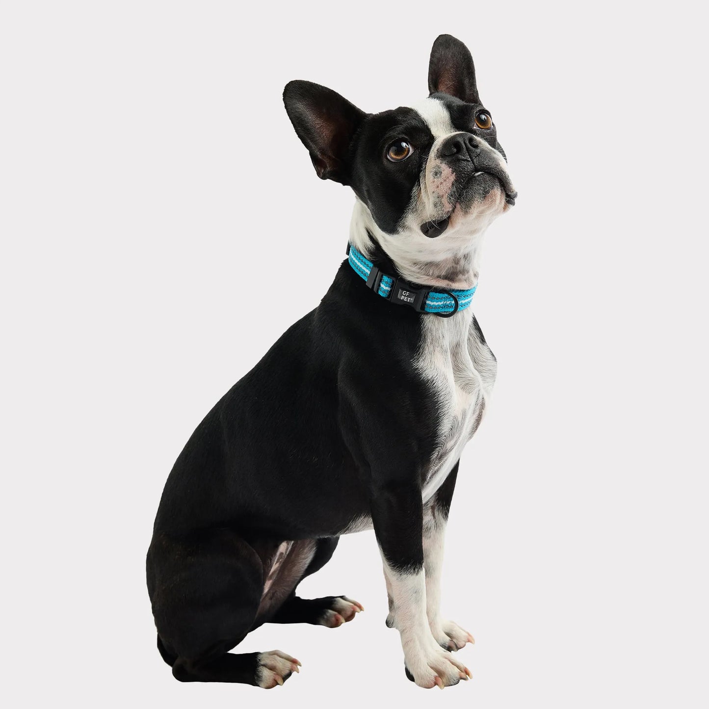 GF Pet  Reflective Collar - Your Pet Connection