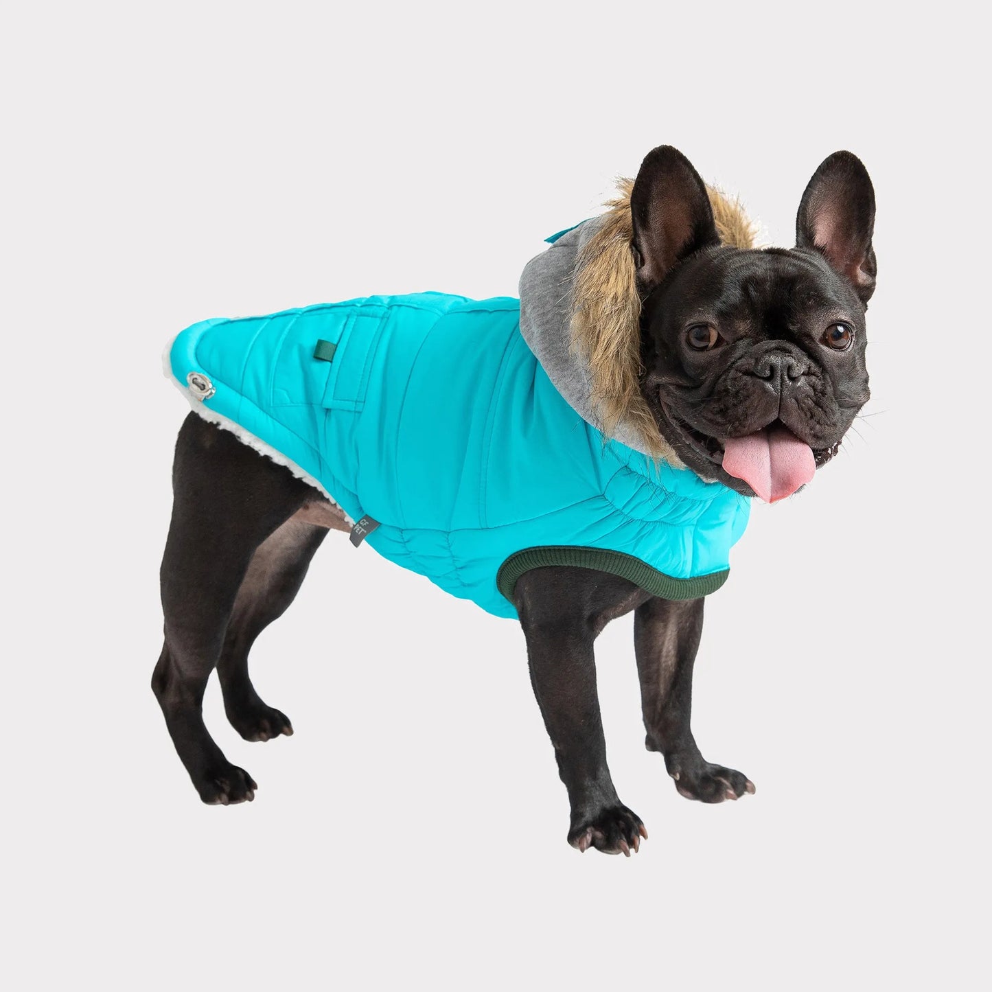 GF Pet  Winter Sailor Parka - Your Pet Connection