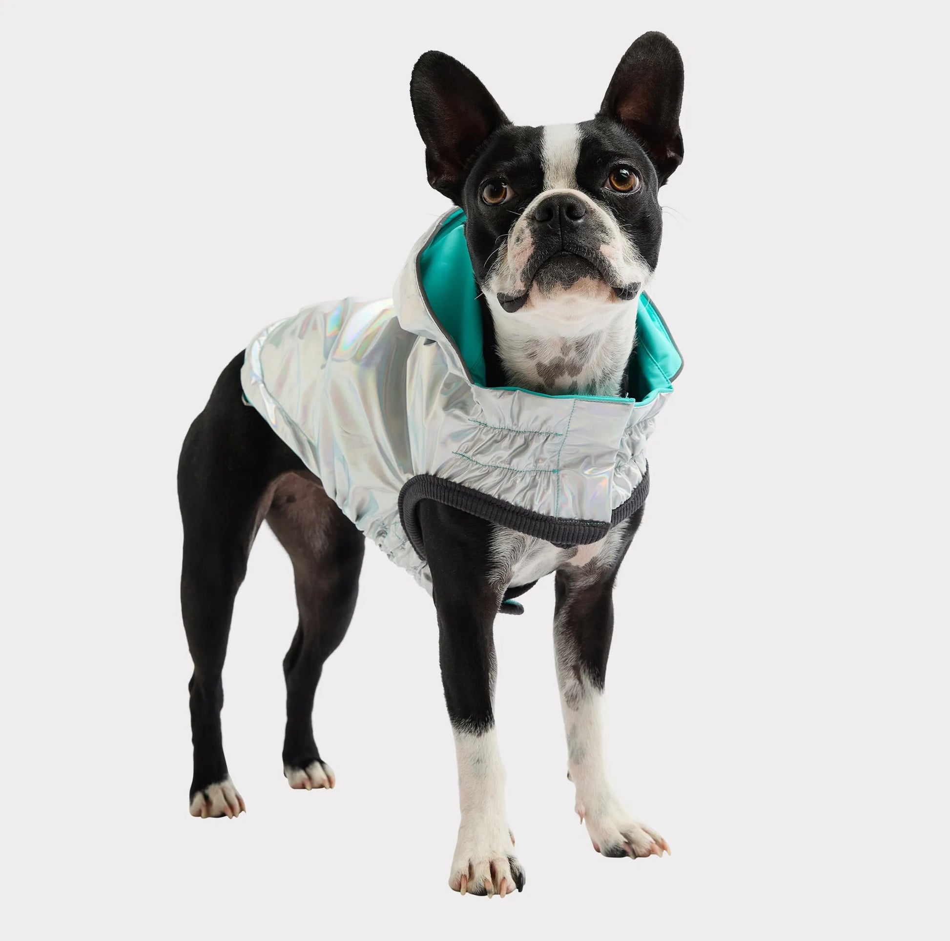 GF Pet Reversible Raincoat - Your Pet Connection