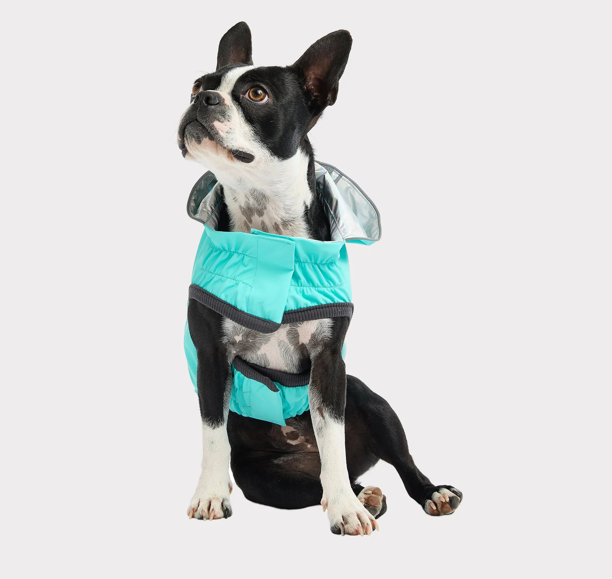 GF Pet Reversible Raincoat - Your Pet Connection