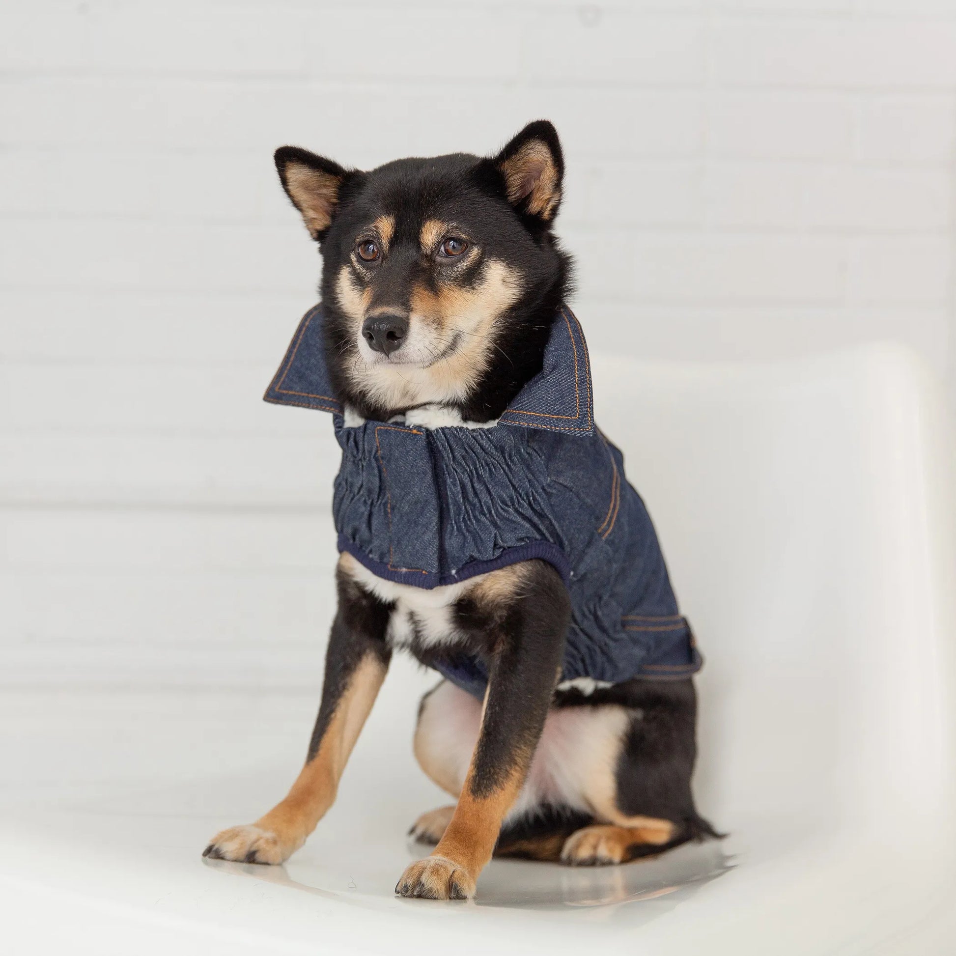 GF Pet Elasto-Fit Denim Dog Jacket - Your Pet Connection