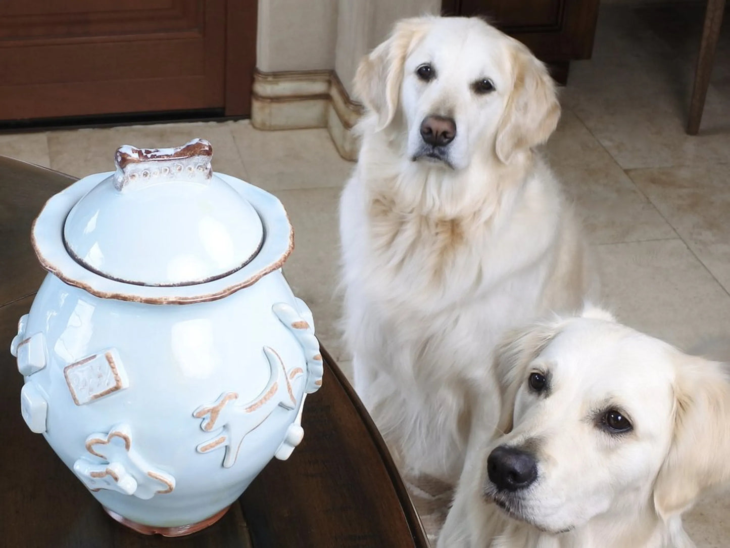 Dog Treat Jar - Your Pet Connection