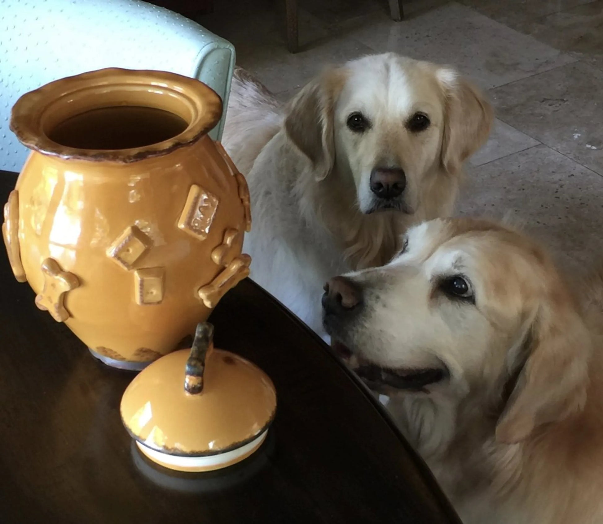 Dog Treat Jar - Your Pet Connection