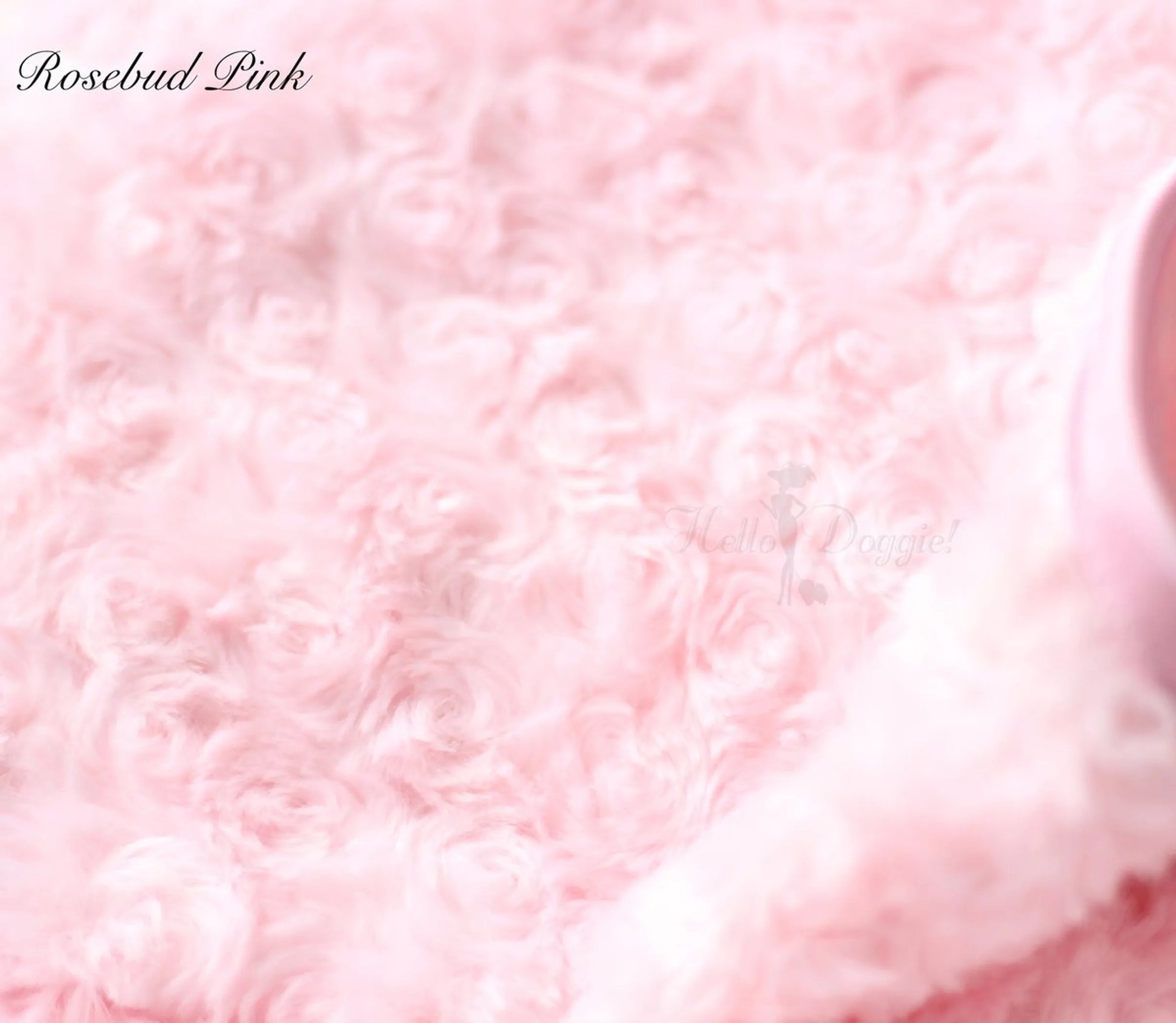 Rosebud Dog Blanket - Your Pet Connection
