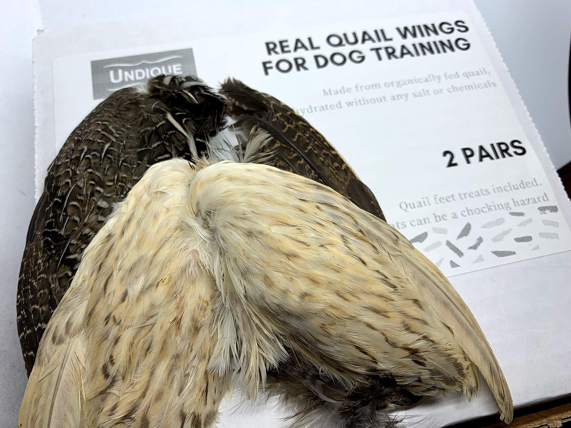 Real Quail Wings for Dog Training 2 Pair - Your Pet Connection