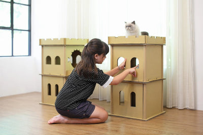 London Bridge Cat House - Your Pet Connection