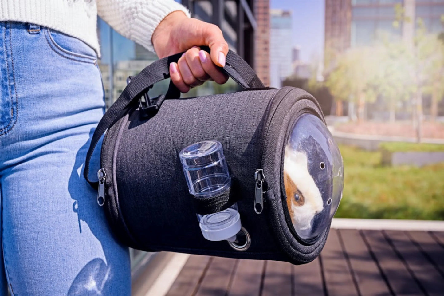 Capsule Pet Carrier - Your Pet Connection
