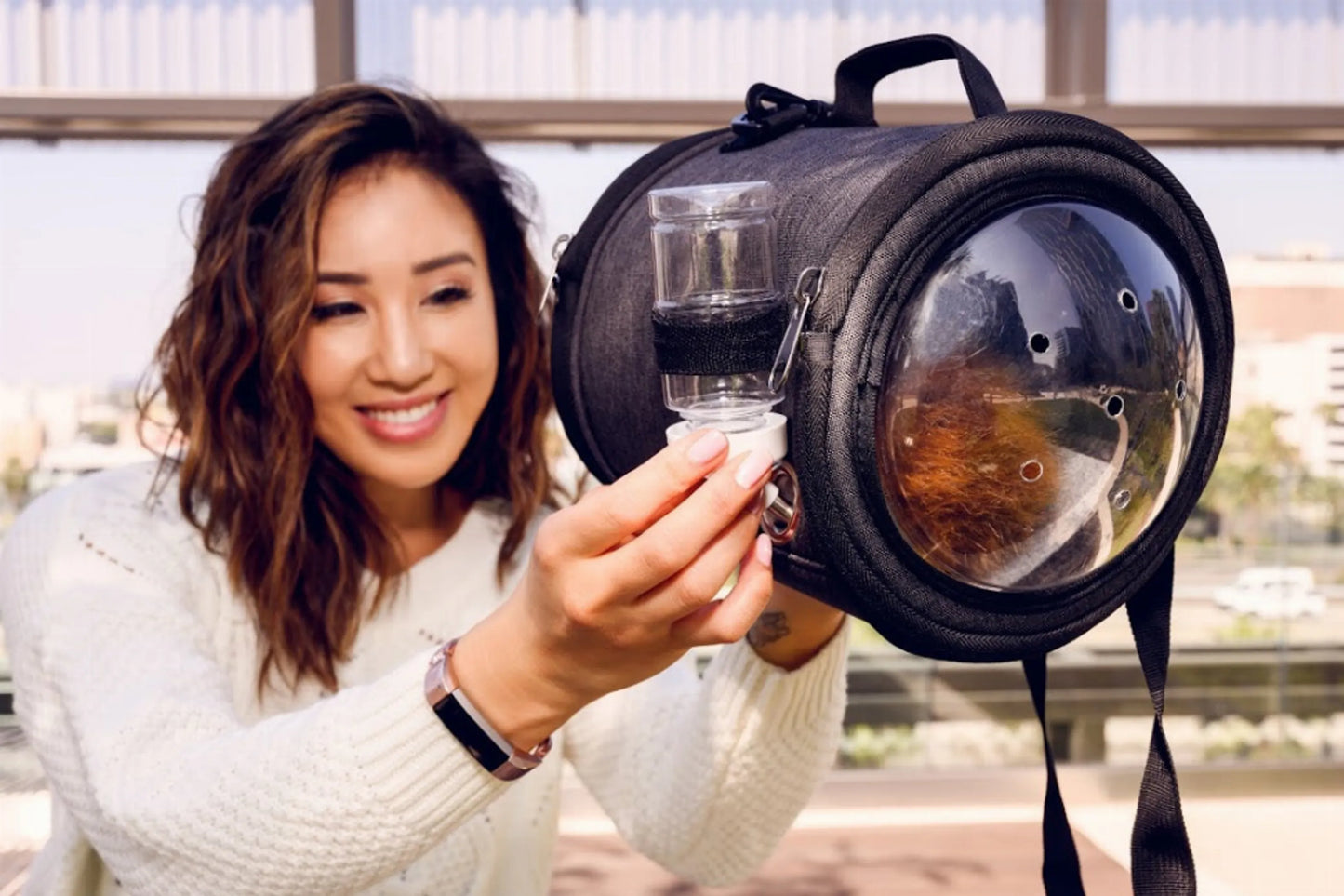 Capsule Pet Carrier - Your Pet Connection