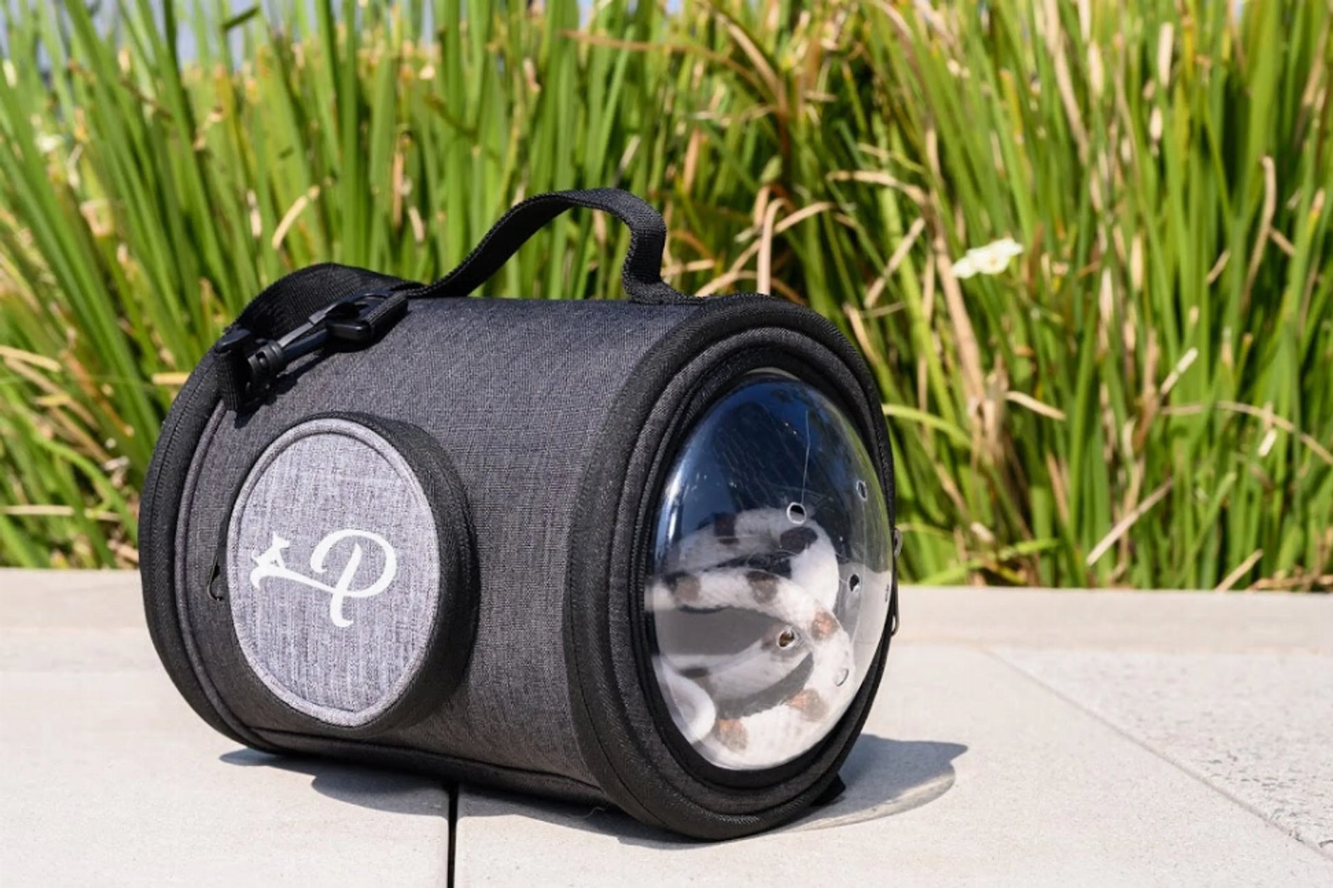 Capsule Pet Carrier - Your Pet Connection