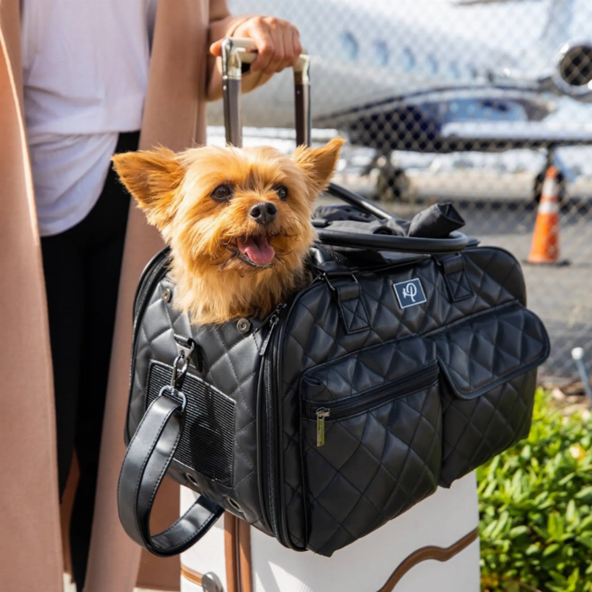 The Lux Pet Carrier - Your Pet Connection