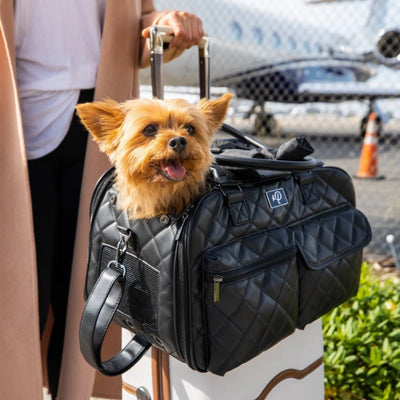 The Lux Pet Carrier - Your Pet Connection