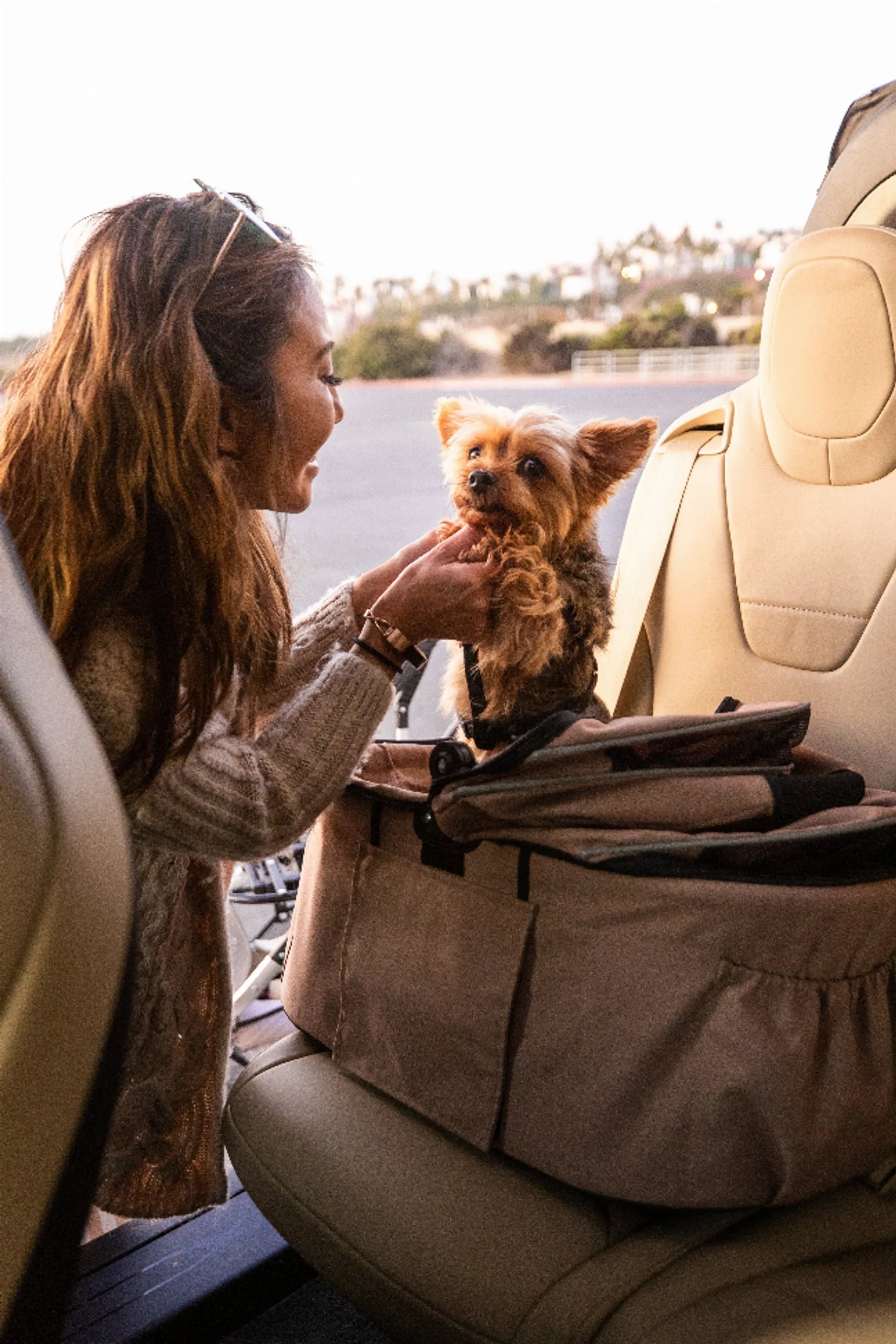 Newport Pet Stroller (3-in-1 Travel System) - Your Pet Connection