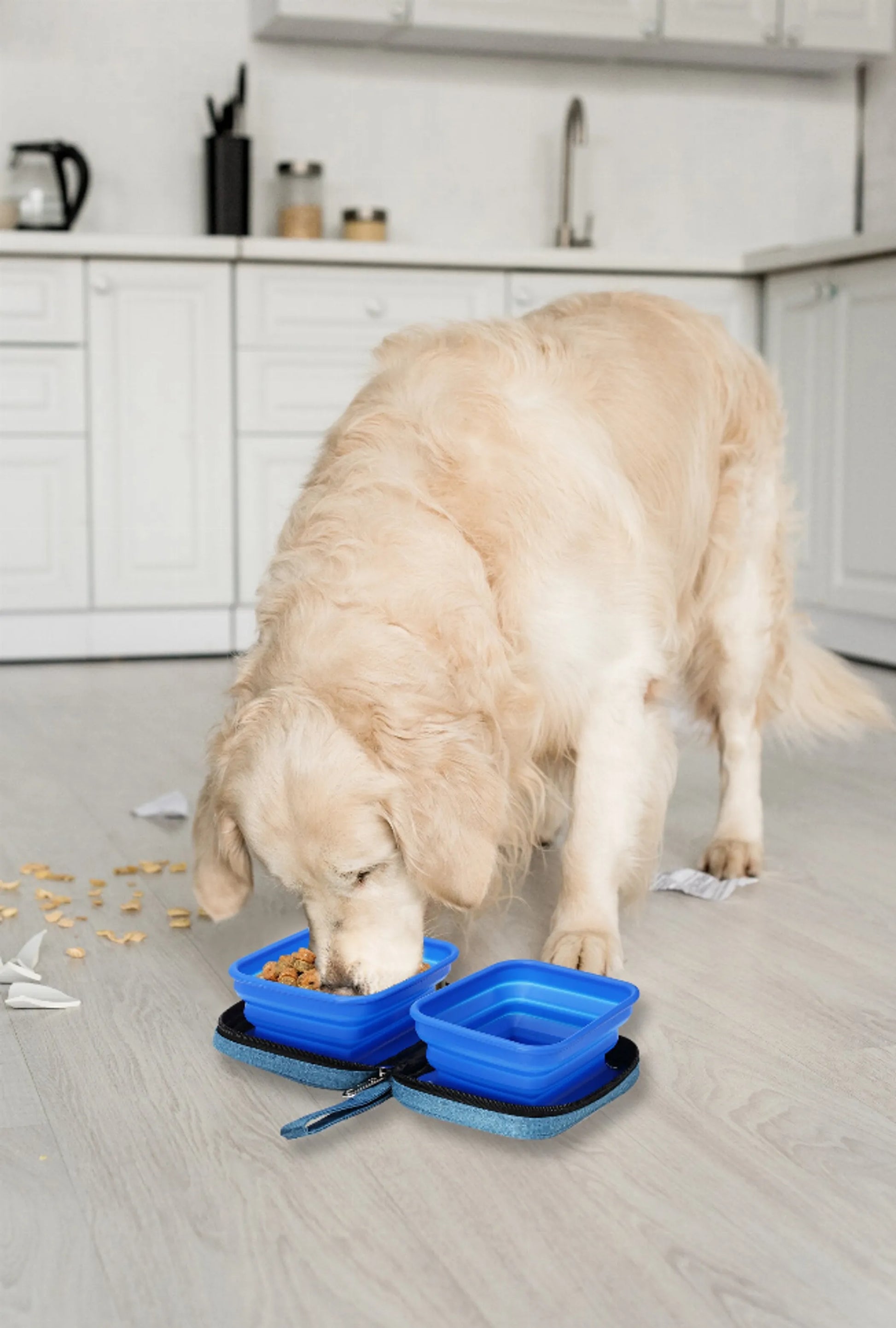 Portabowl Water and Food Bowl - Your Pet Connection