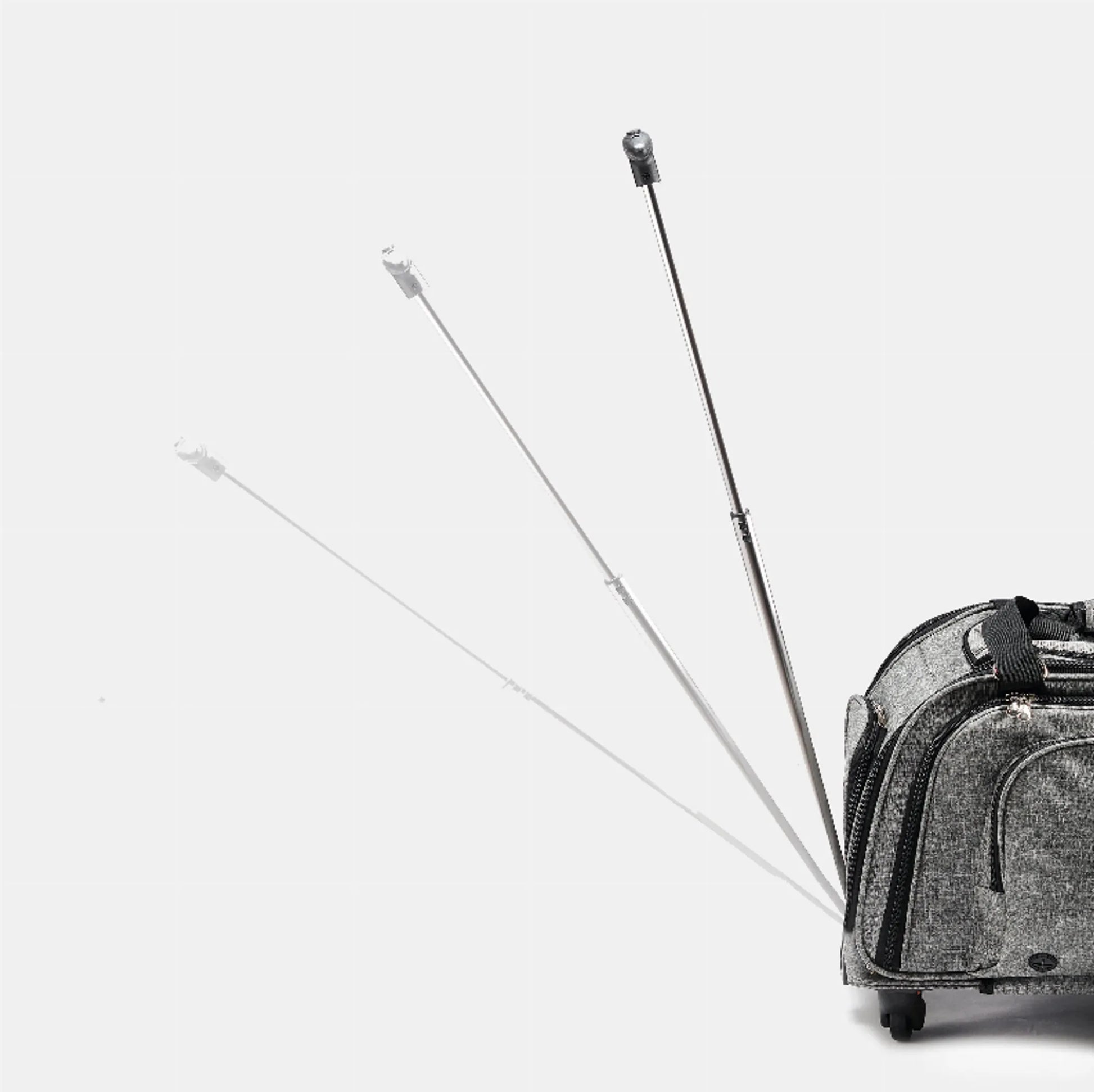 Happy Camper Pet Carrier - Your Pet Connection