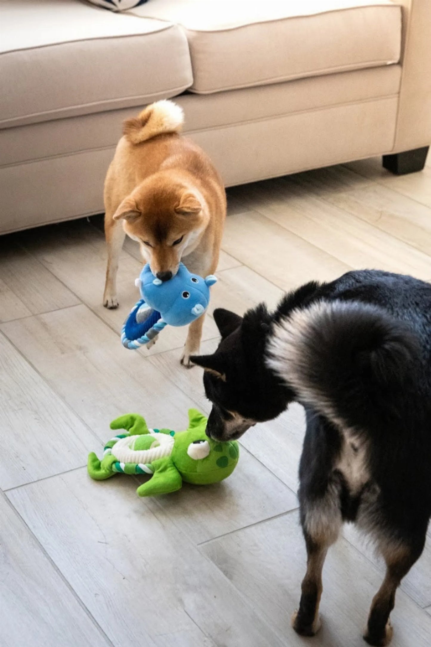 Hippy the Hippo Pet Toy - Your Pet Connection