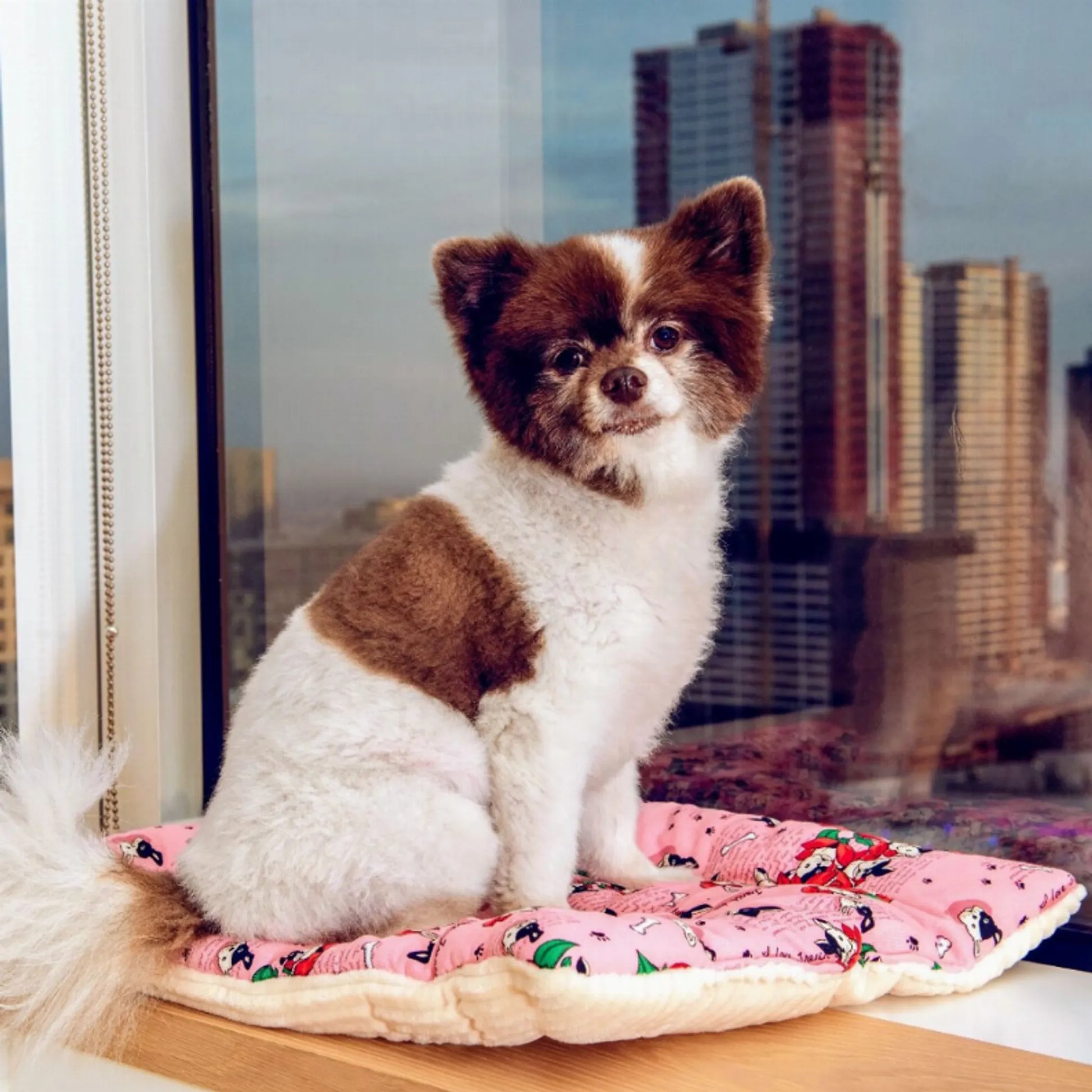 Comfy Mat Pet Bed - Your Pet Connection