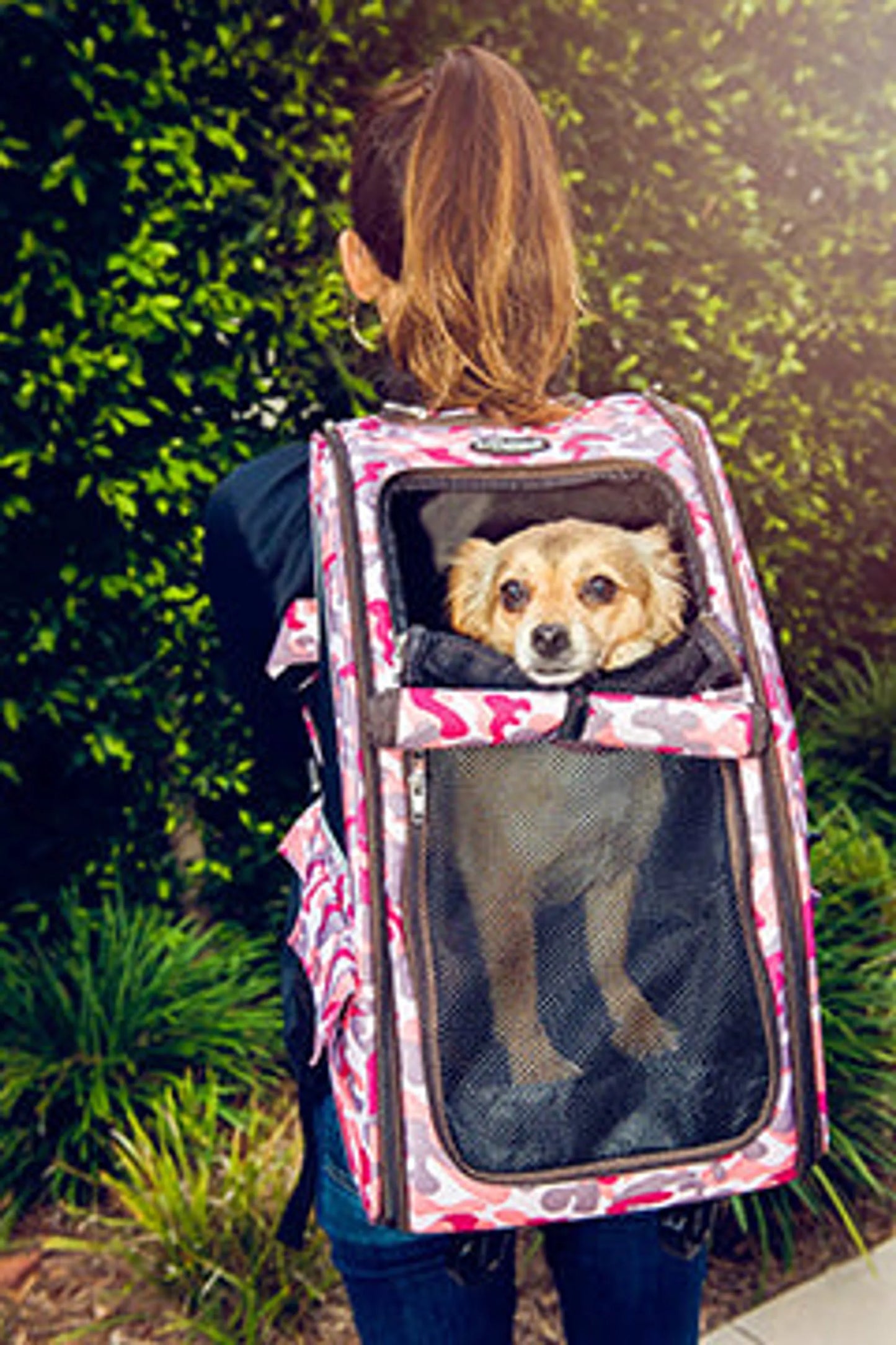 5-in-1 Pet Carrier - Your Pet Connection