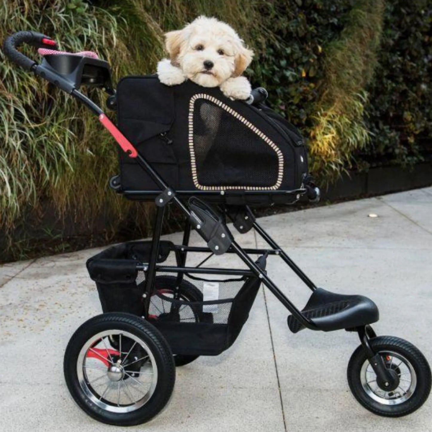 5-in-1 Pet Carrier - Your Pet Connection