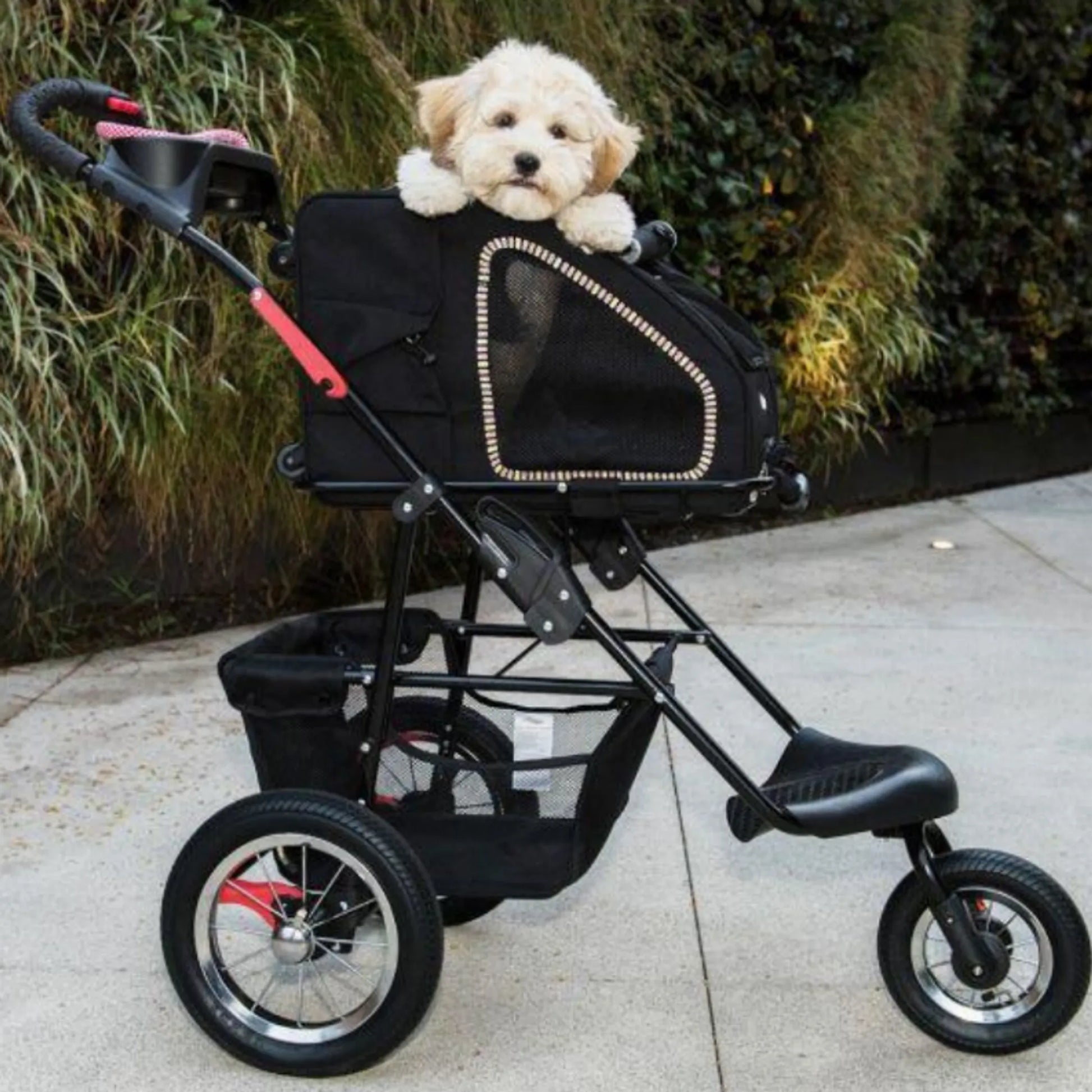 5-in-1 Pet Carrier - Your Pet Connection