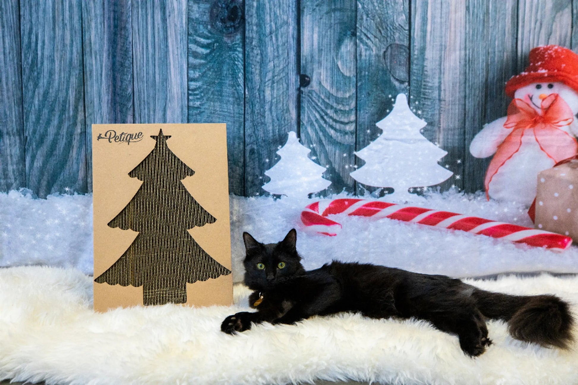 Christmas Cat Scratch Board - Your Pet Connection