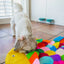 Snuffle Mat Puzzle Pad - Your Pet Connection