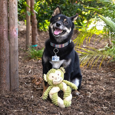 Hemp Monkey Twist Pet Toy - Your Pet Connection