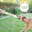 Anchors Away Pet Bed - Your Pet Connection