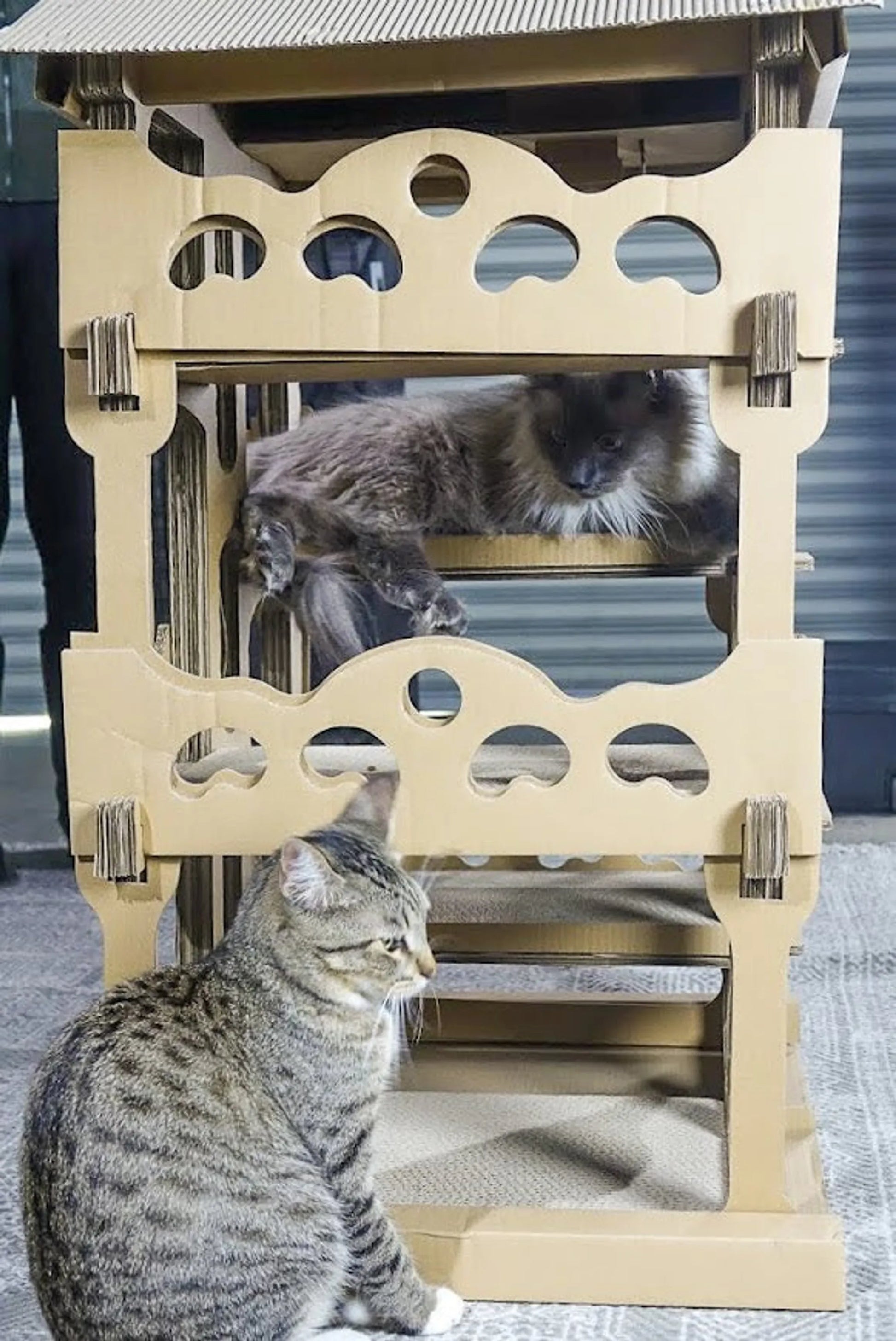 Feline Chateau Cat House - Your Pet Connection