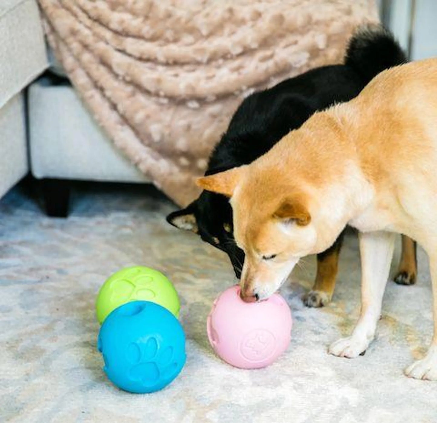 Paw Me! Treat Ball Dispenser - Your Pet Connection